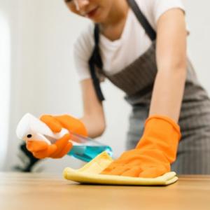 Missoula House Cleaning Service